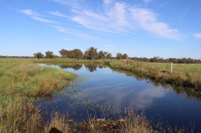 3418 Castlereagh Hwy, NSW 2827