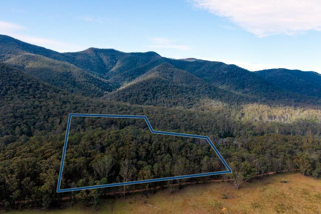 14 Yankees Gap Firetrail, NSW 2550