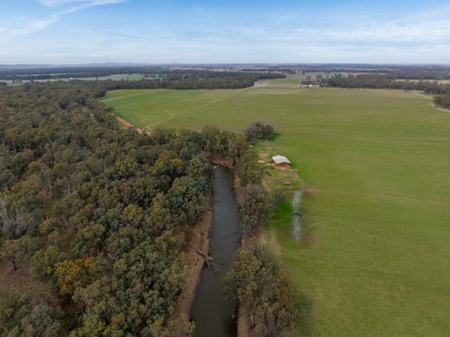 193 McPhillamys Lane, NSW 2871