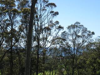 Main (2010-03-10)