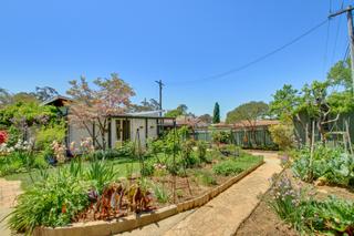 Vegie Patch and Gardens (2019-10-26)
