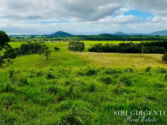 1297 Mt Molloy Street, QLD 4873