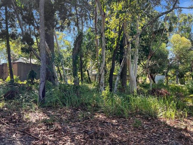 17 Morwong Street, QLD 4184