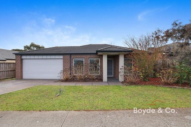 40 Cook Street, VIC 3818