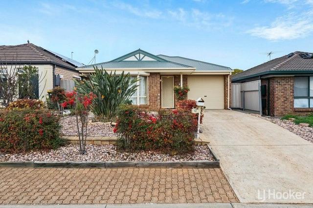 12 Spaxton Crescent, SA 5114
