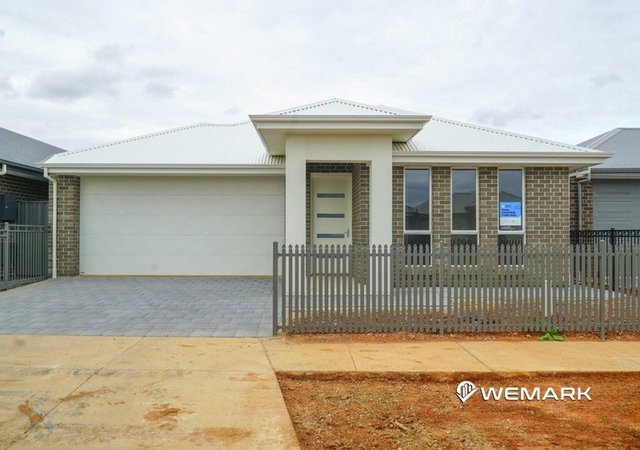 16 Boyle Street, SA 5115