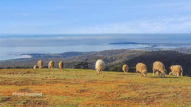 34 Mount Elephant Road, TAS 7215