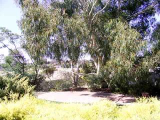 Rear Garden (2005-03-14)