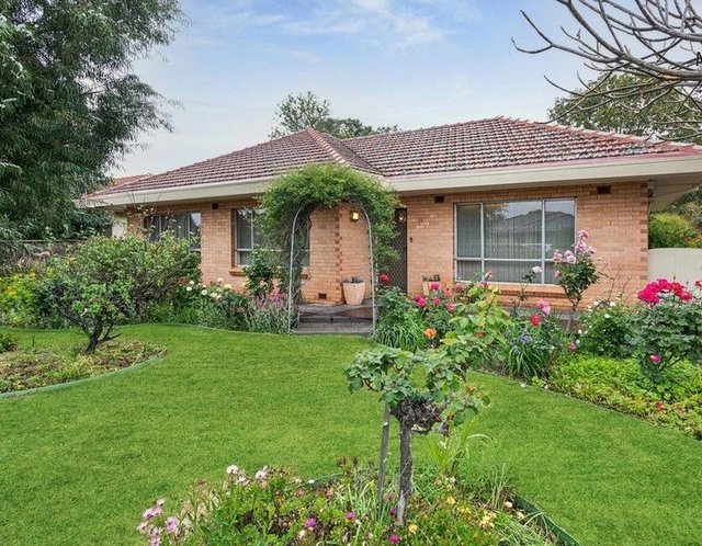 19 Astrid Avenue, SA 5046