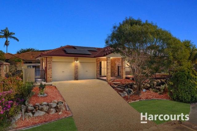 11 Narcissus Place, QLD 4116