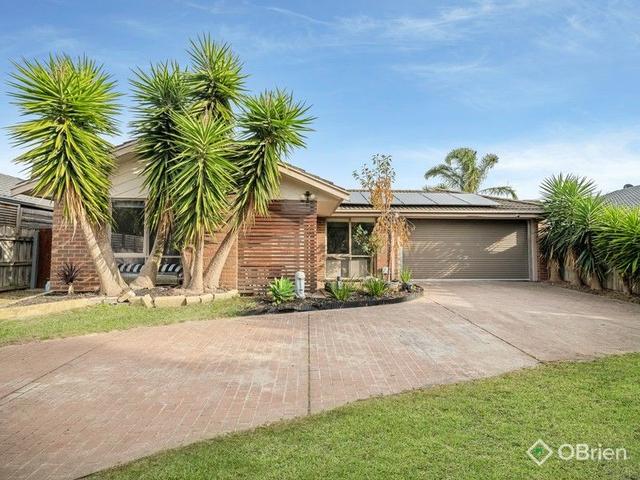 17 Arcadia Street, VIC 3201