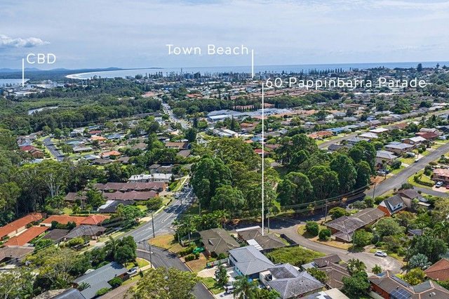 60 Pappinbarra Parade, NSW 2444