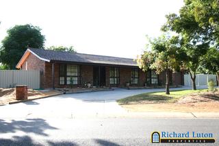 Frontyard (2006-03-23)