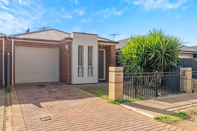 164 Petherton Road, SA 5114