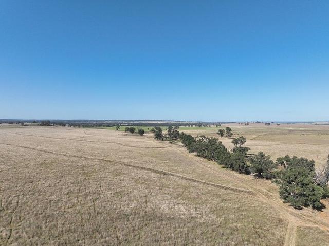 "Block Four" 486 Napier Lane, NSW 2357