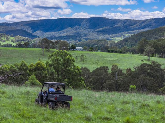 739 Chichester Dam Road, NSW 2420