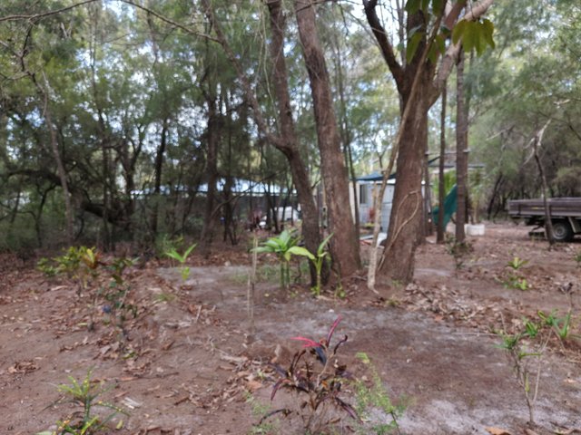 11 Dickenson Drive, QLD 4184