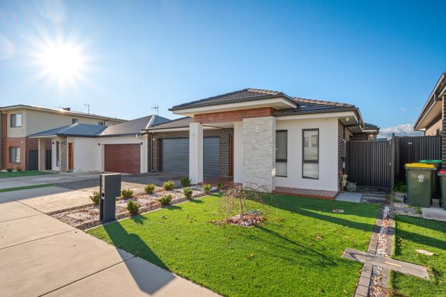 14 Dragon Street, ACT 2914