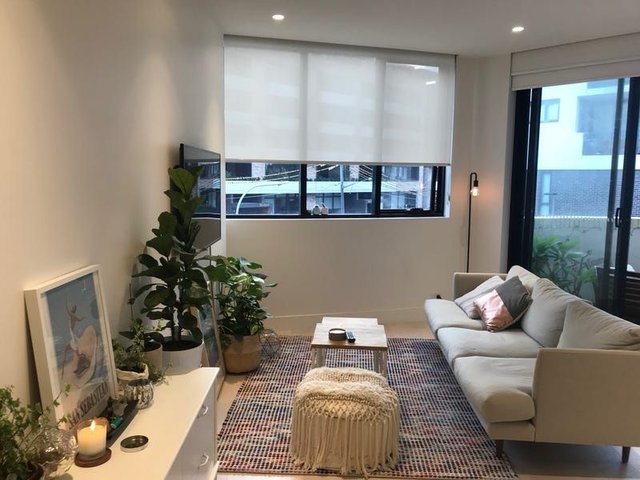 205A/72 MacDonald Street, NSW 2043