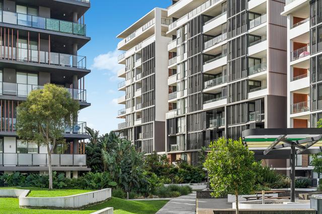 204/3 Garrigarrang Avenue, NSW 2217