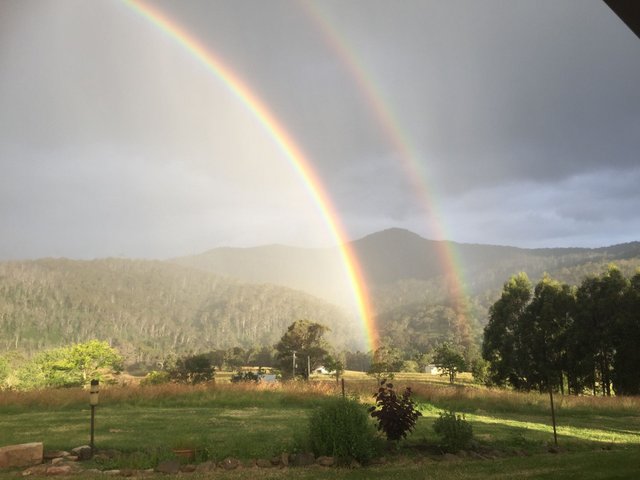 (no street name provided), NSW 2550