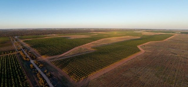 971 Wilga Road, VIC 3496