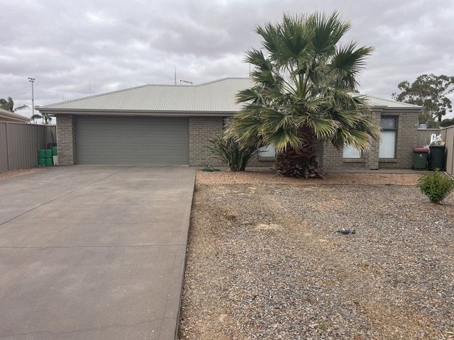 16 John Leary Street, SA 5540