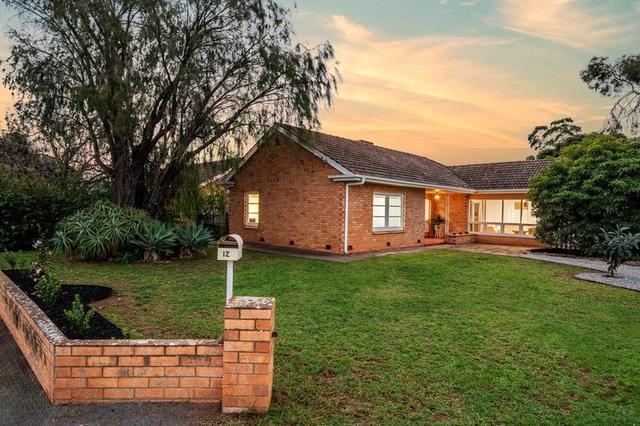 12 Lynne Court, SA 5043
