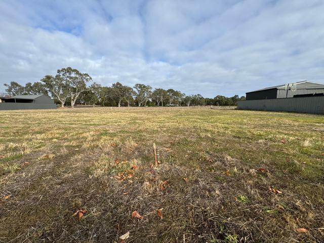 Jocelyn Avenue, SA 5244
