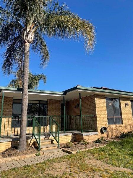 24 Pugsley Avenue, NSW 2650