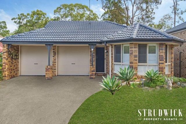 9 Pimelea Crescent, QLD 4165