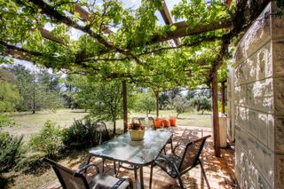 BBQ Pergola