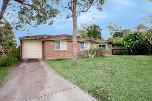 11 Sequoia Street, NSW 2318