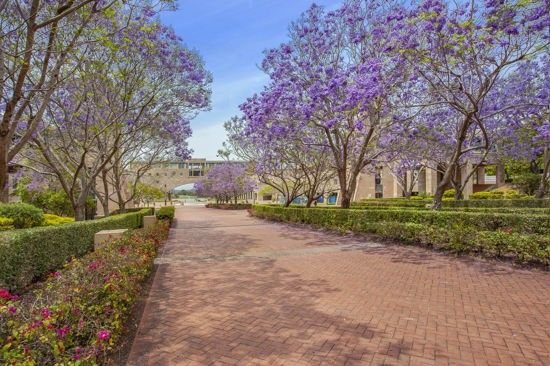 2303A / 3 Main Street, QLD 4227