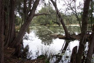 Wildlife & Wetlands.