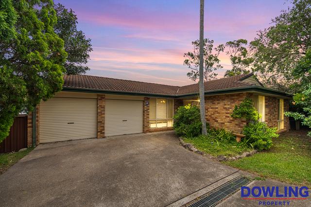 59 Kindlebark Drive, NSW 2318