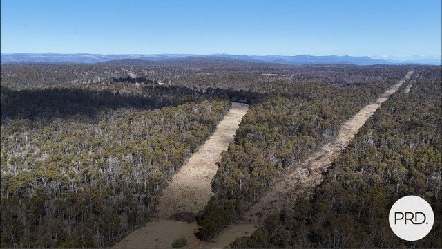 Lot 17 East Bago Powerline Road, NSW 2653