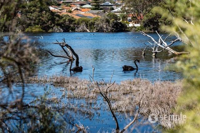 52A Fallow Crescent, WA 6163