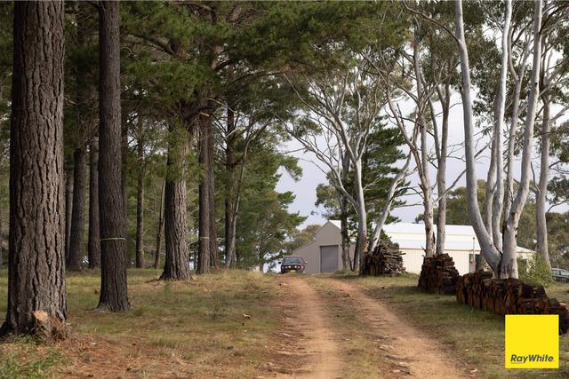 270 Pine Bank Drive, NSW 2580