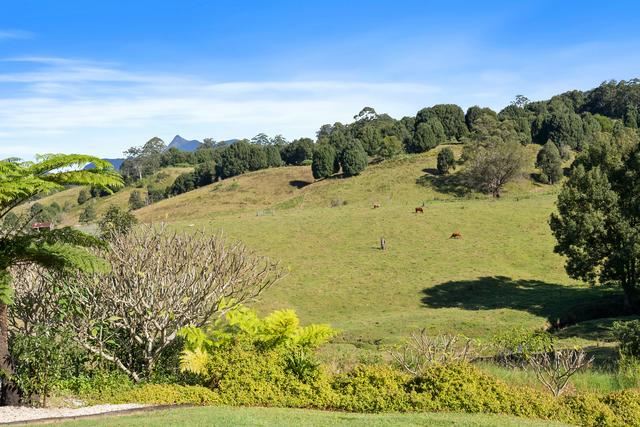 291 Upper Crystal Creek Road, NSW 2484