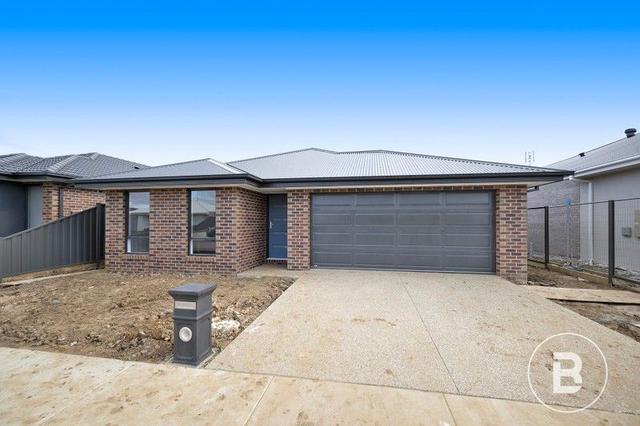 36 Martland Street, VIC 3350