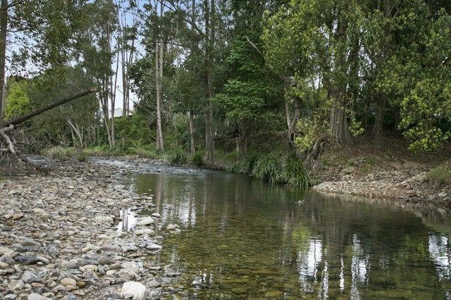 966 Tallebudgera Creek Road, QLD 4228