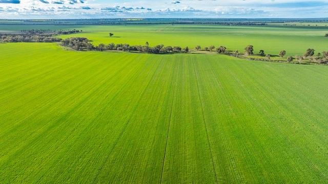 1250 Barracluffs Road, NSW 2642
