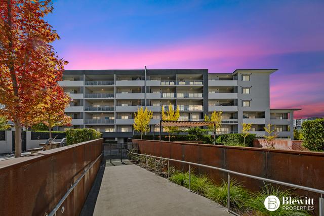 4/40 Philip Hodgins Street, ACT 2611