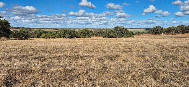 302/null Starbush Way, WA 6503