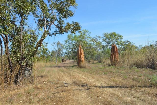 375 Darwin River Road, NT 0841