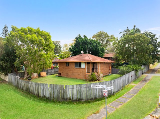 6 Bloodwood Crescent, QLD 4214