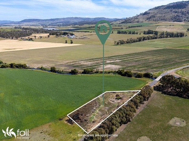 Brown Mountain Road, TAS 7026