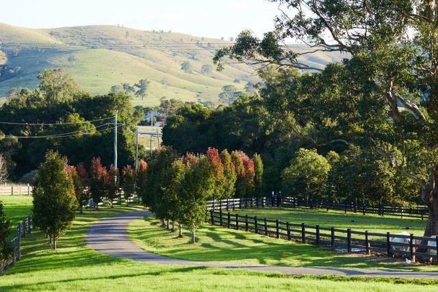 564 Chichester Dam Road Bendolba Via, NSW 2420
