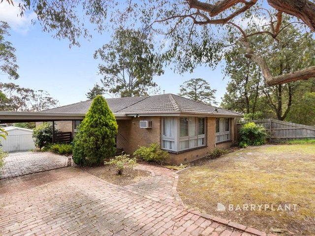 17 Joan Avenue, VIC 3156